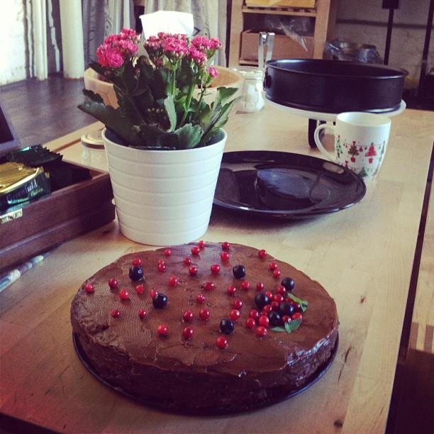 The incredible Olga Rudyak baked us a cake! Can you imagine?